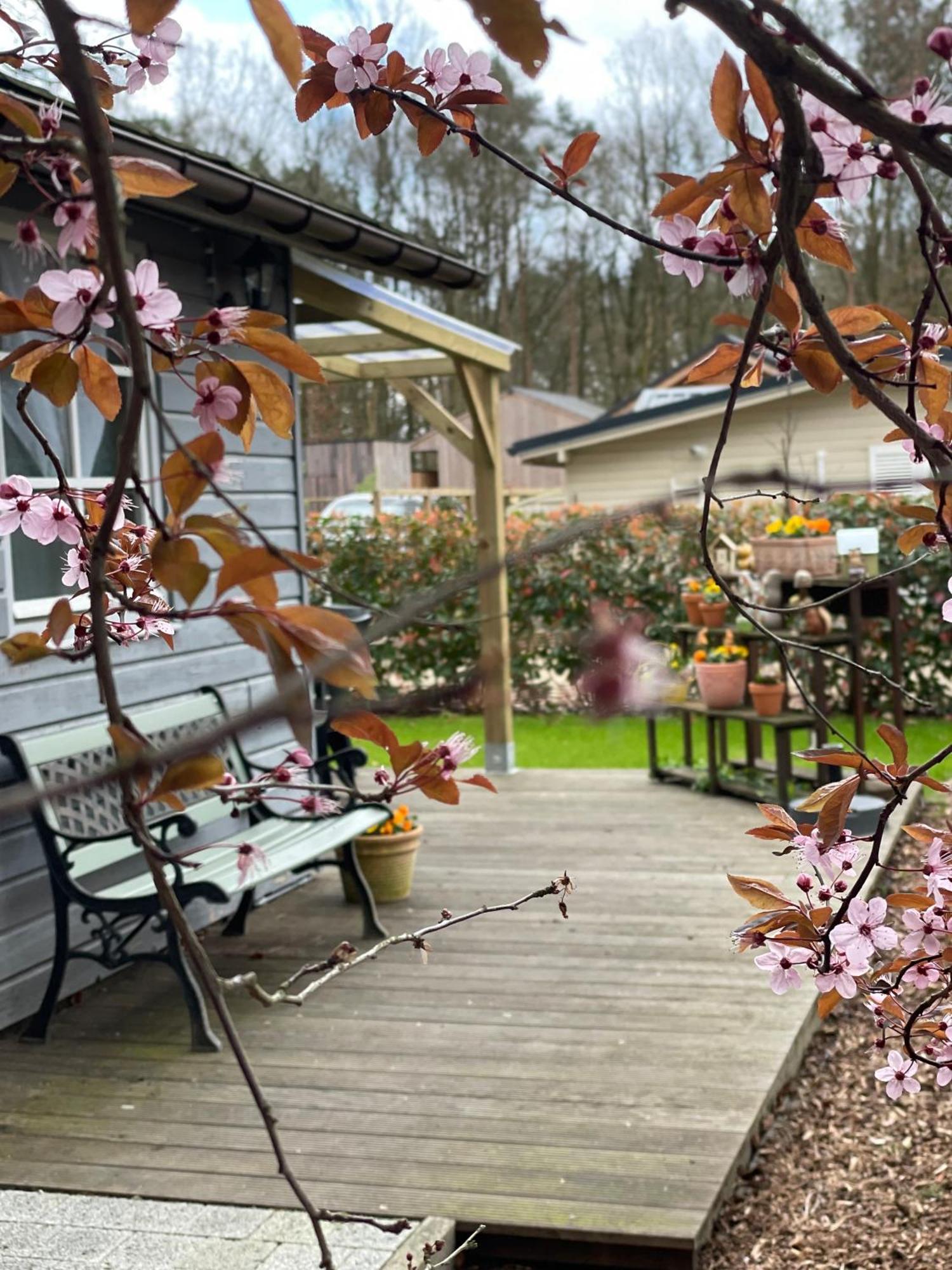Chalet Sint-Hubertus Du Bois Zutendaal Esterno foto