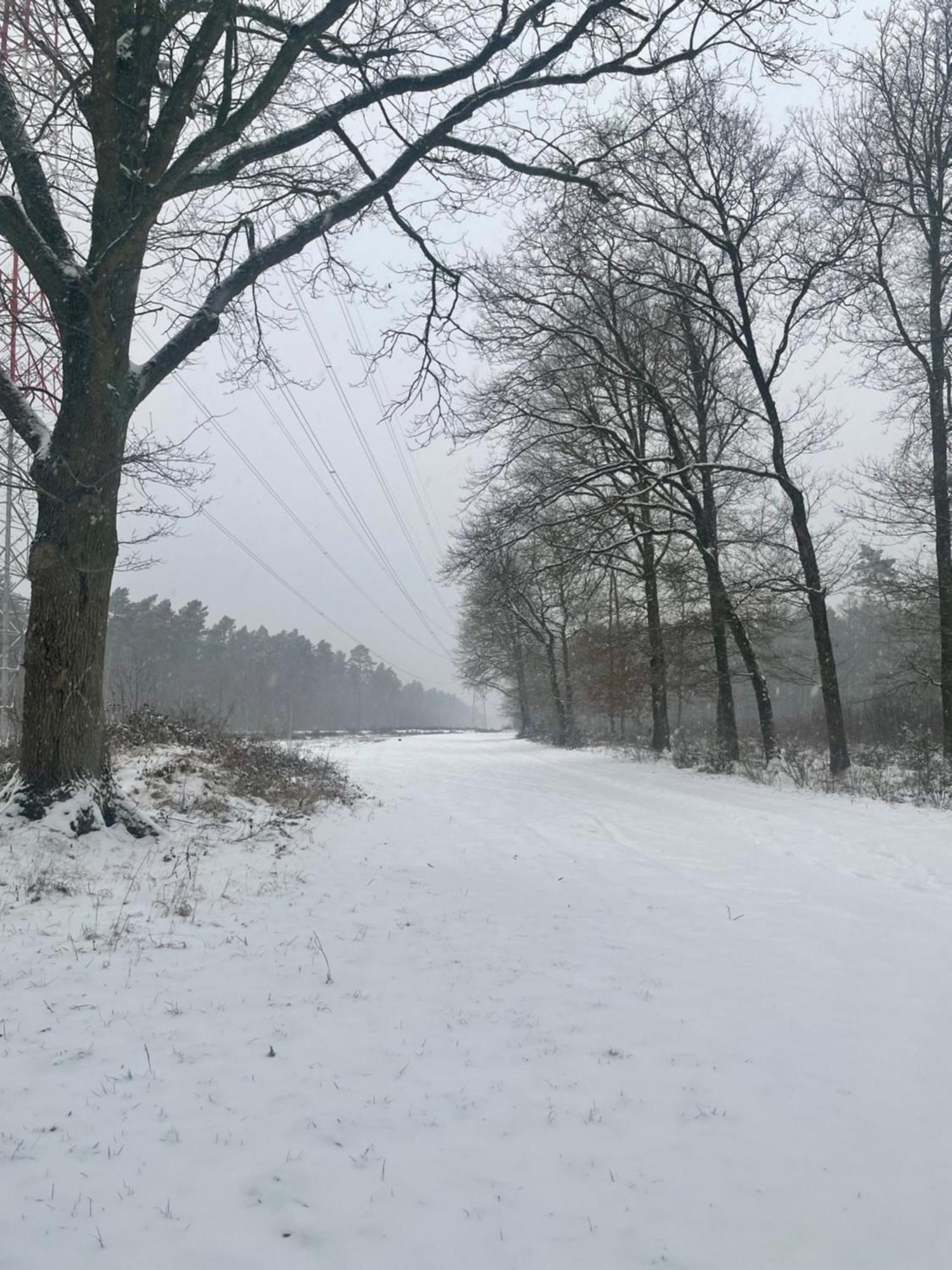 Chalet Sint-Hubertus Du Bois Zutendaal Esterno foto