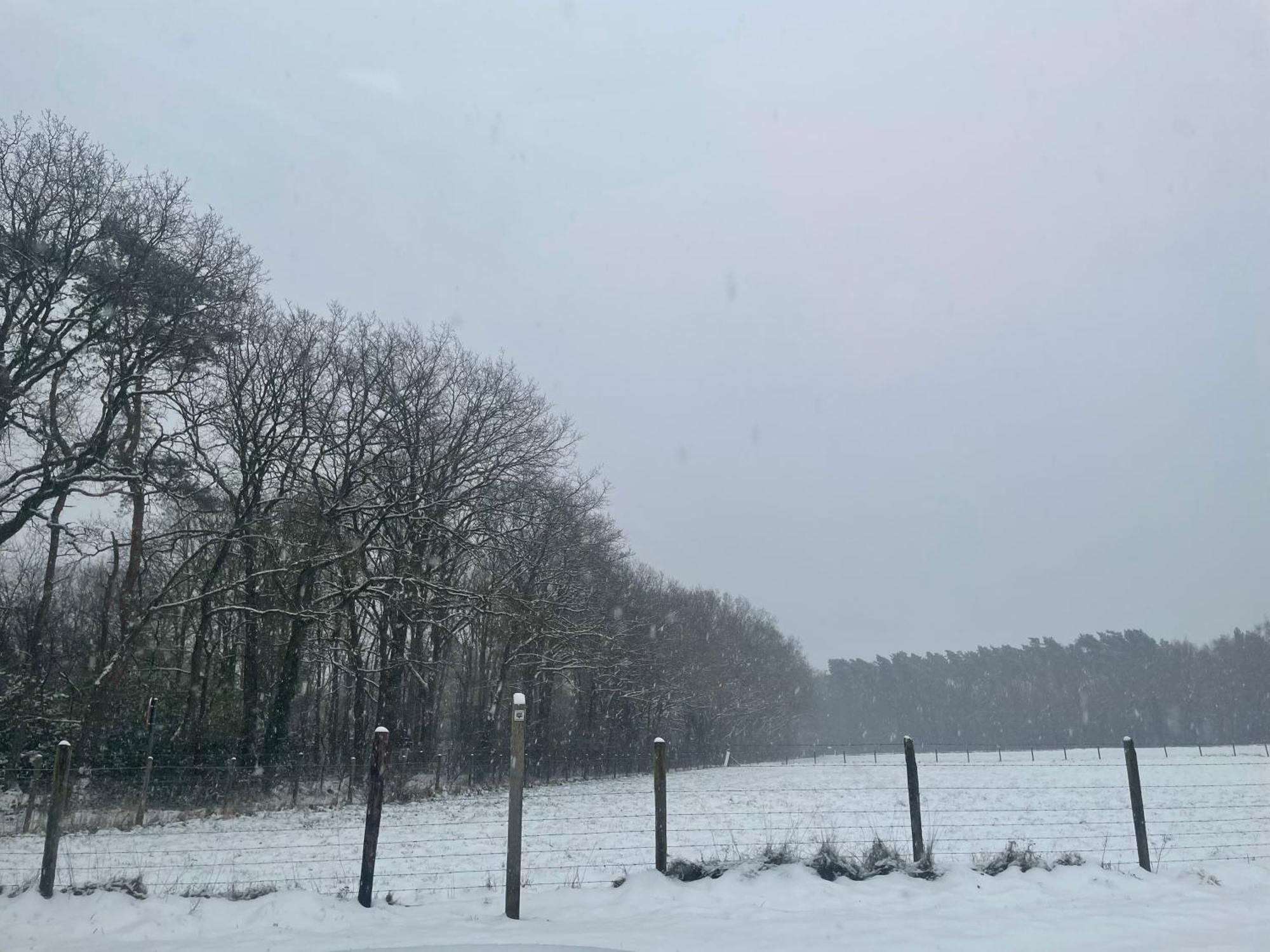 Chalet Sint-Hubertus Du Bois Zutendaal Esterno foto